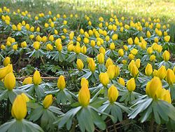 11.2.2024 Winterling