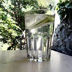 9.4.2024 Gin Tonic