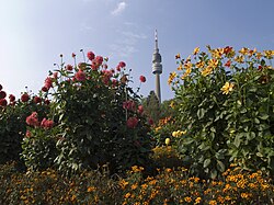 24.5.2024 Westfalenpark