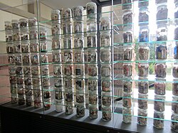 11.1.2024 Nicole Guiraud: Werden I