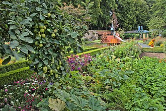 6.6.2024 Küchengarten