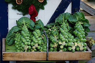 30.12.2024 Rosenkohl