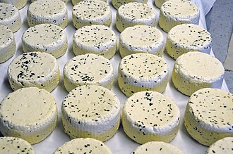 16.3.2024 Schafkäse