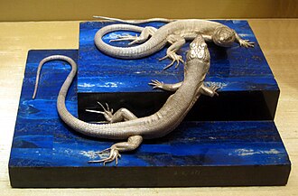 27.11.2024 Briefbeschwerer