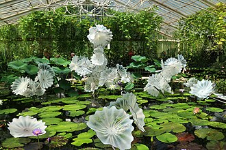 30.6.2024 Royal Botanic Gardens (Kew)